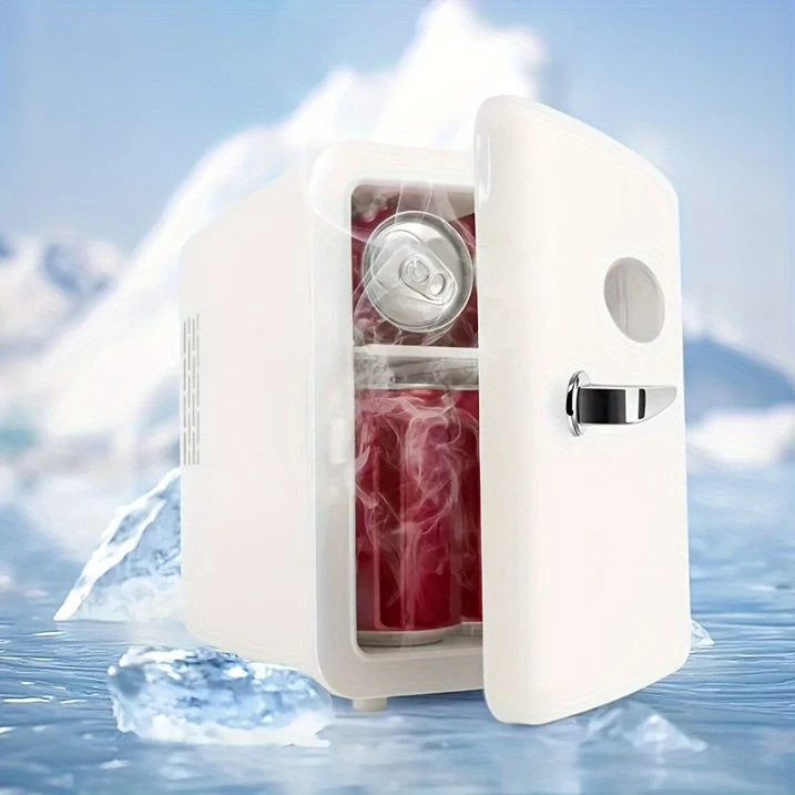 4L Mini Refrigerator (Regular Model) best